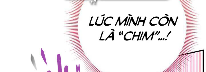 công chúa của loài chim chapter 49.1 596