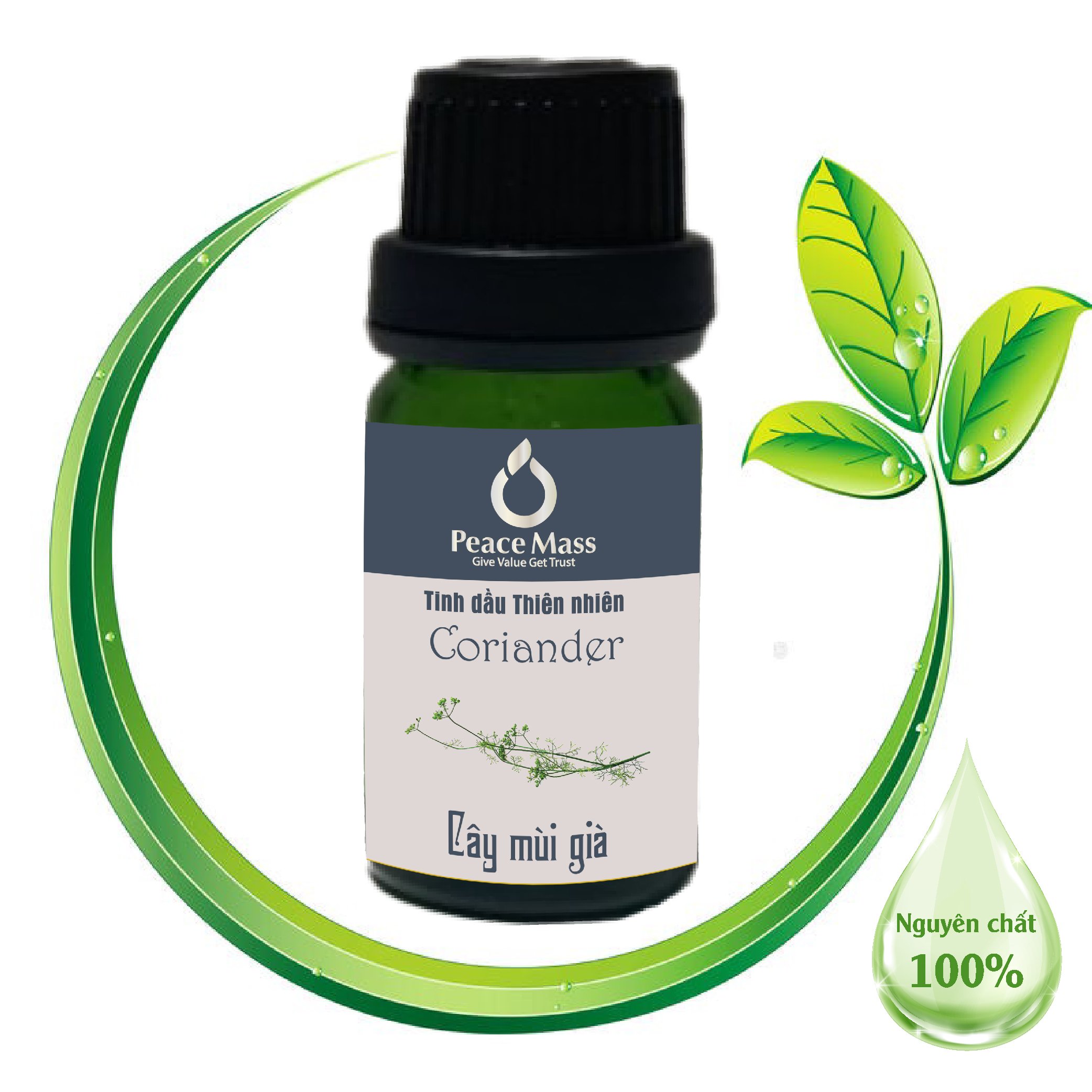 Tinh dầu cây Mùi già Peace Mass 10ml (Thuộc nhóm Sản phẩm Lành tính / Hữu cơ/ Sinh học)