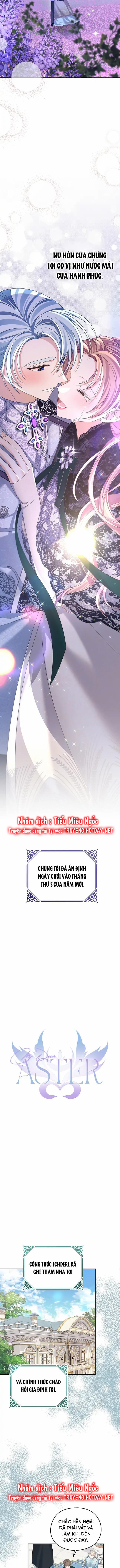 aster yêu dấu của tôi chapter 48 11