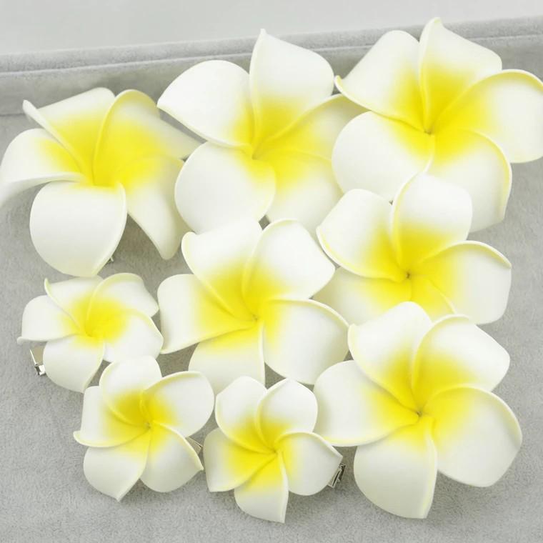 Set 2 Bông Kẹp Tóc Nữ Hoa Sứ Kẹp Tóc Hoa Đại Trắng Đi Biển - Giá Tiki khuyến mãi: 12,000đ - Mua ngay! - Tư vấn mua sắm & tiêu dùng trực tuyến Bigomart Set 2 Bông Kẹp Tóc Nữ Hoa Sứ Kẹp Tóc Hoa Đại Trắng Đi Biển - Giá Tiki Khuyến Mãi: 12,000Đ - Mua Ngay! - Tư Vấn Mua Sắm & Tiêu Dùng Trực Tuyến Bigomart