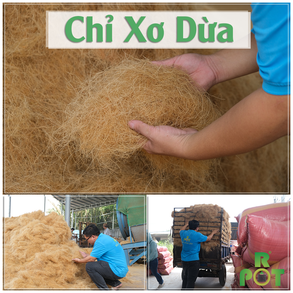 Chỉ Sợi Xơ Dừa 500gr  Giữ Ẩm, Che Phủ Cây Trồng Chống Nấm Và Vi Khuẩn.