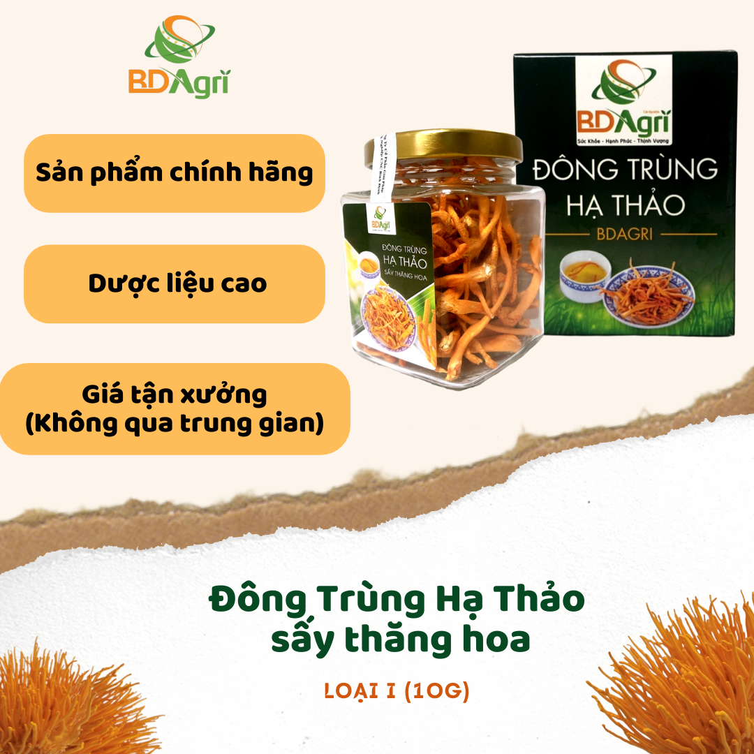 ĐÔNG TRÙNG HẠ THẢO BDAGRI SẤY THĂNG HOA LOẠI TIÊU CHUẨN