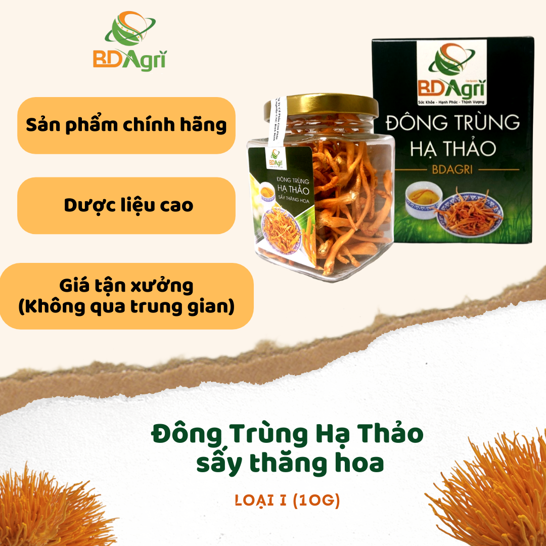 ĐÔNG TRÙNG HẠ THẢO BDAGRI SẤY THĂNG HOA (LỌ 10G) LOẠI TIÊU CHUẨN