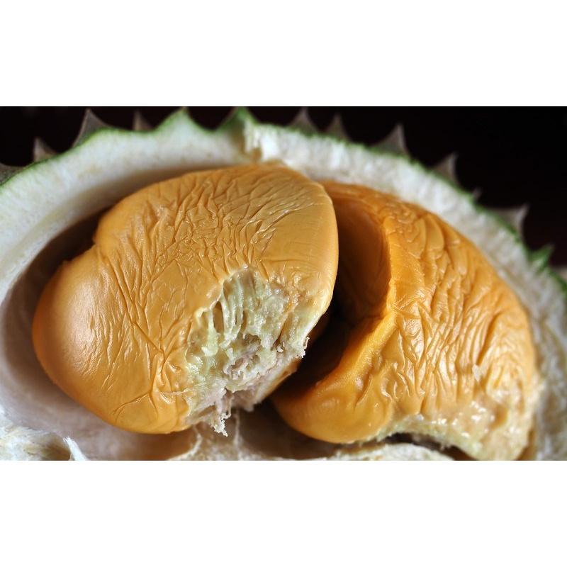 CÂY Giống sầu riêng Black Thorn  .(