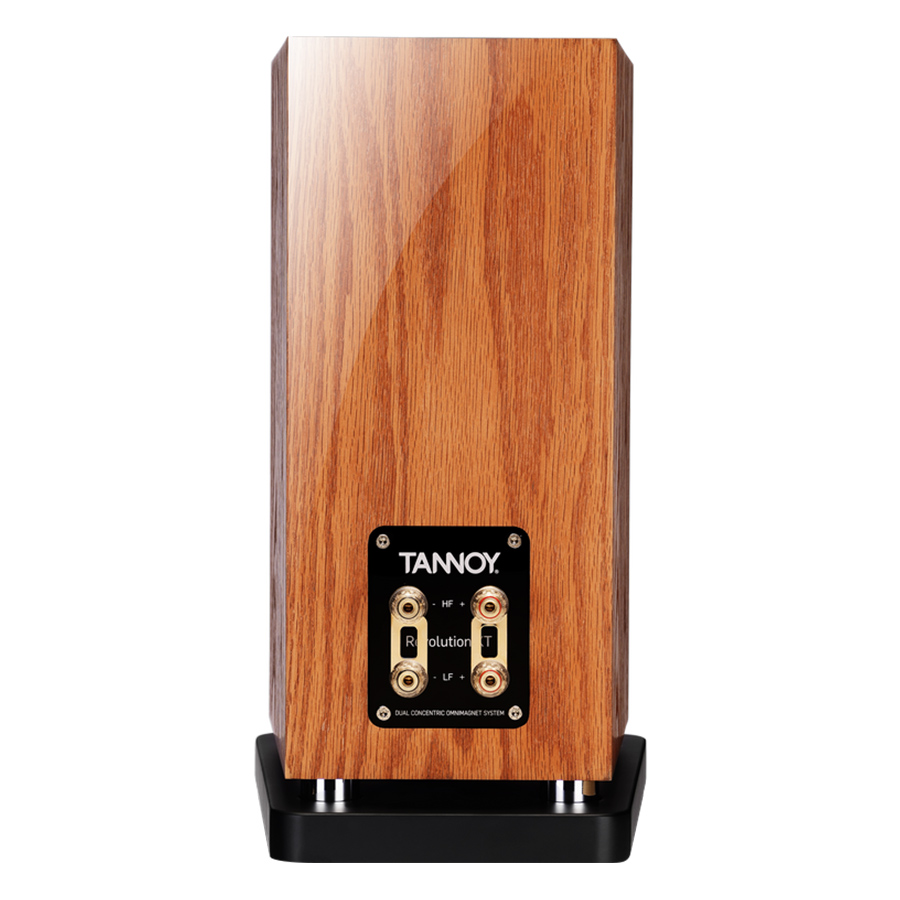 Loa Thùng Tannoy XT 6 Medium Oak (240W) - Hàng Chính Hãng