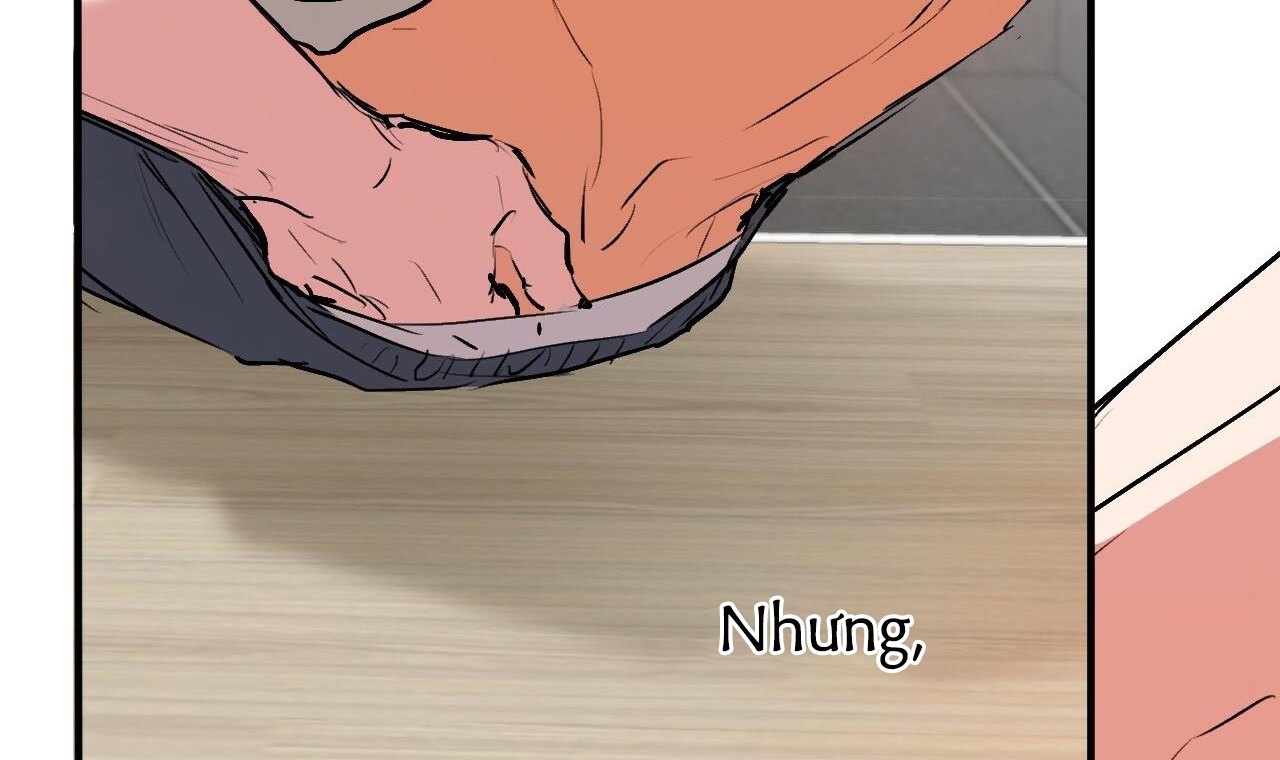 đàn thỏ của habibi chapter 43 45