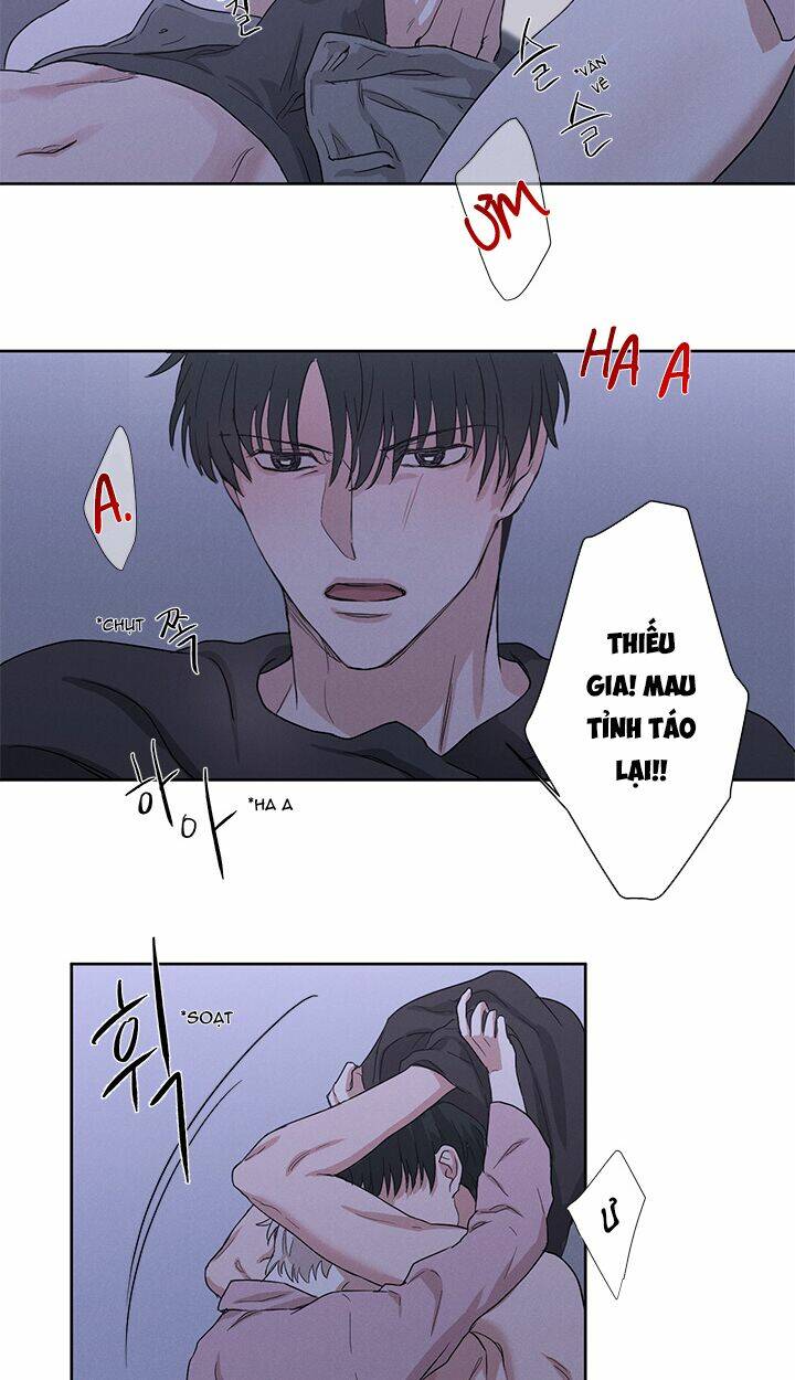 trốn tìm chapter 8 25