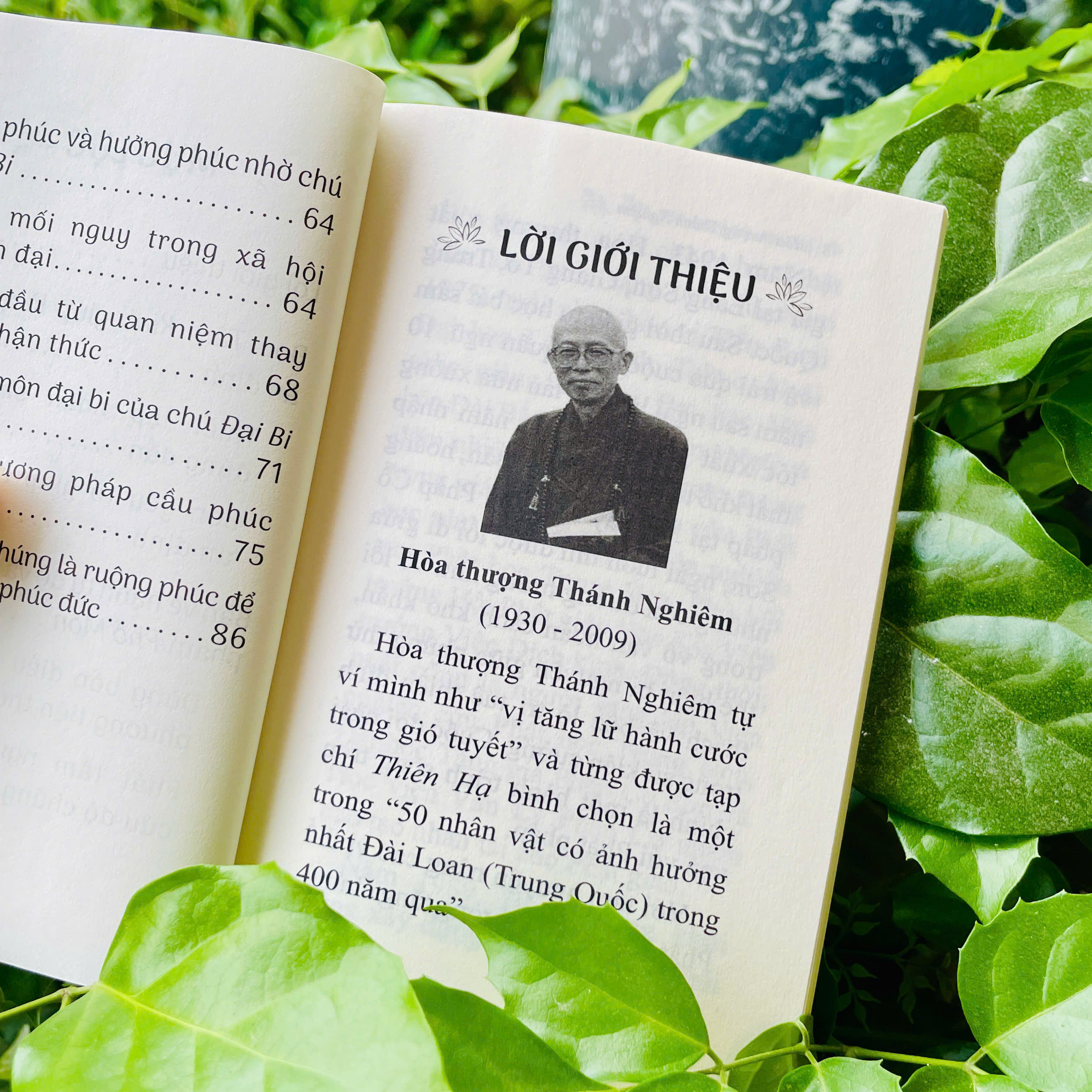 Sách - Tôi chúc phúc cho bạn - Hòa thượng Thánh Nghiêm - Vĩnh nghiêm Books