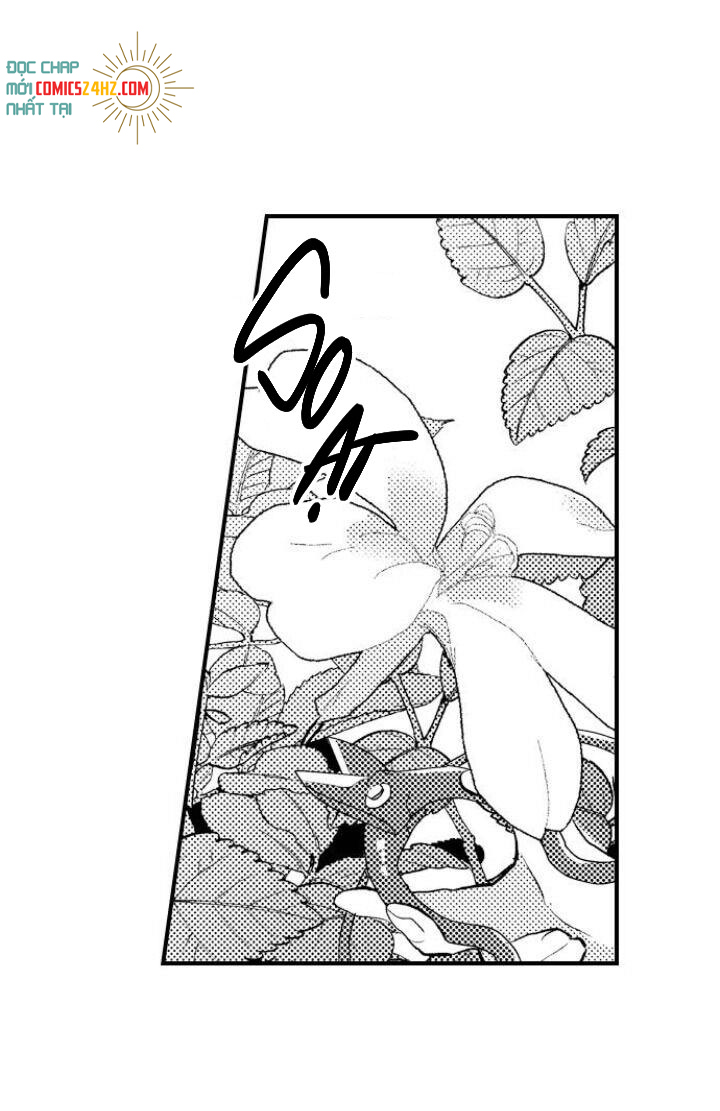 tiếng gọi của tình yêu sau trải nghiệm cận tử chapter 19 2