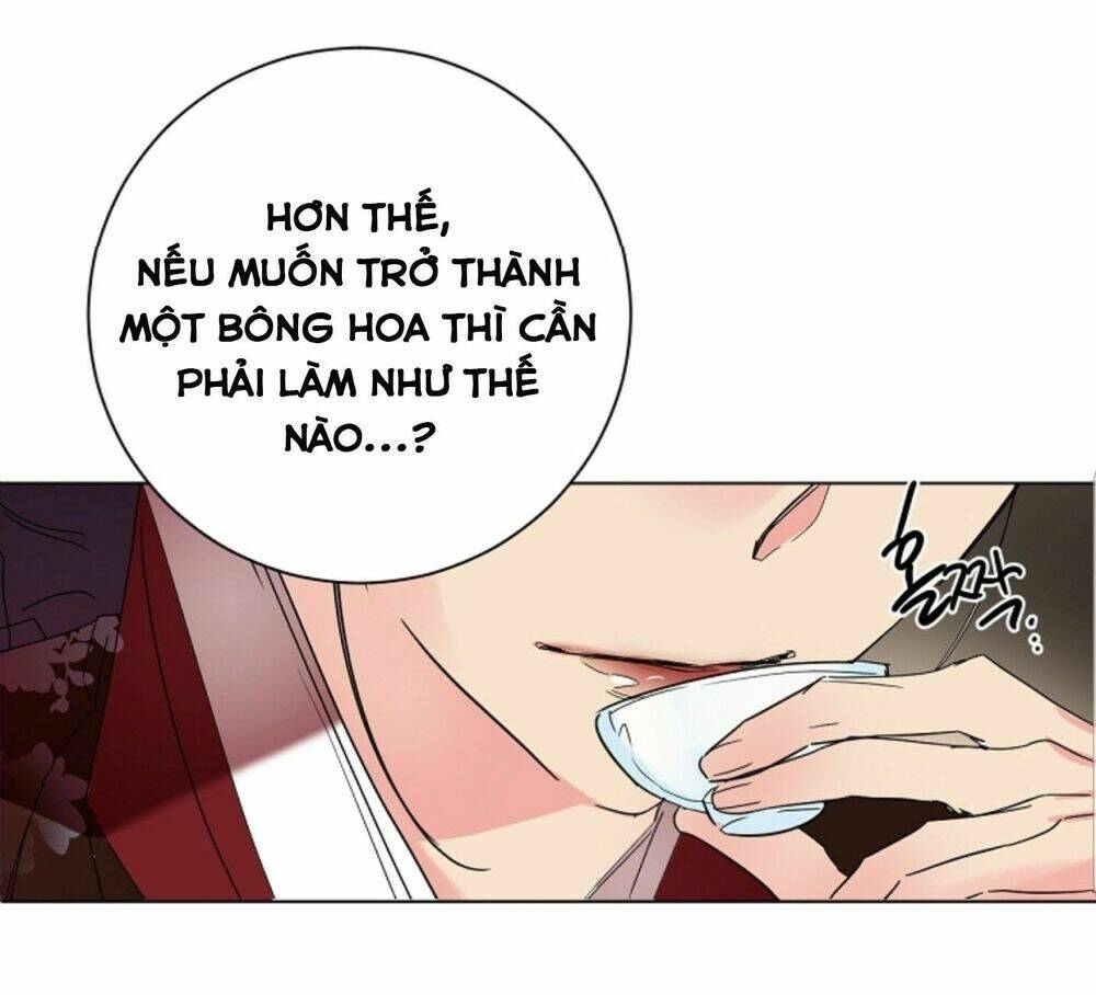 chae hong sa chapter 43 8