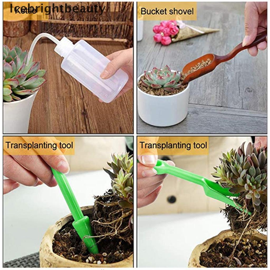 Icebrightbeauty 20pcs/set Garden Planter Kit Succulent Planting DIY Transplant Gardening Tools VN