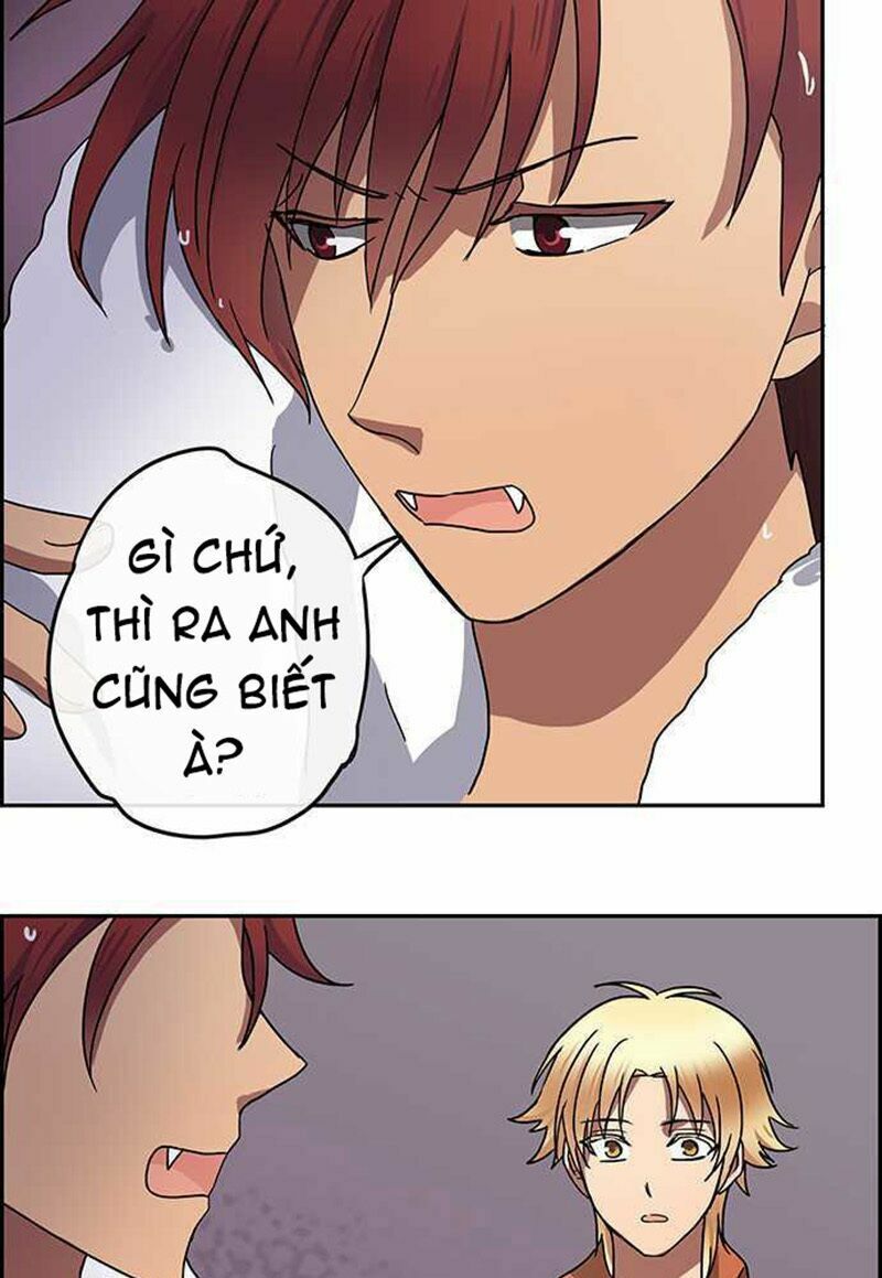 nụ hôn nguyền rủa chapter 95 33