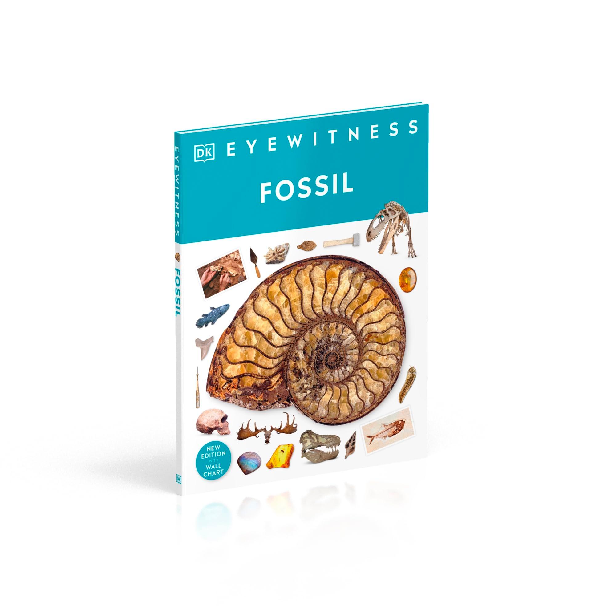 Sách ngoại văn: Eyewitness - Fossil