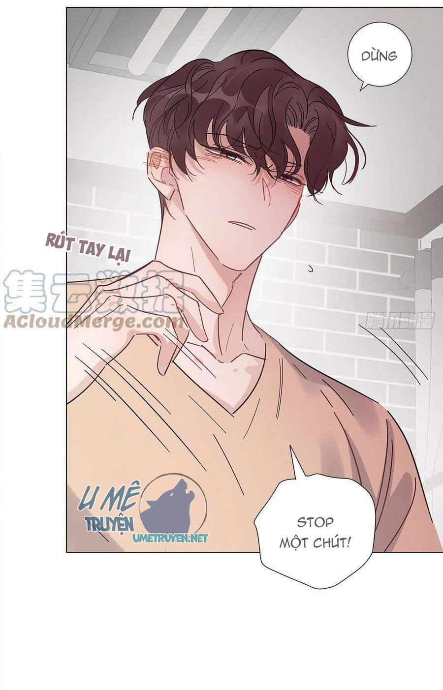 hôm nay nam giả trang nữ vẫn chưa được cầu hôn! chapter 49 34