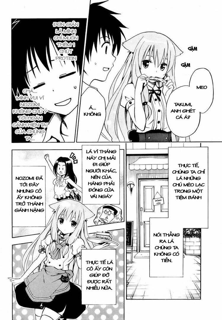 mayoi neko overrun! chapter 3 9