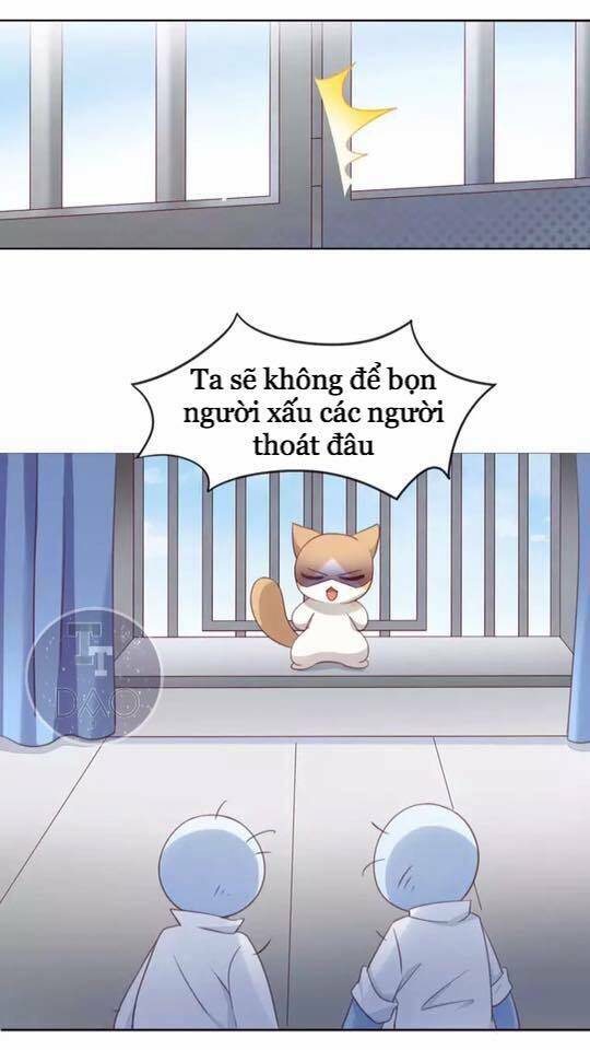 dưới móng vuốt mèo chapter 15 38