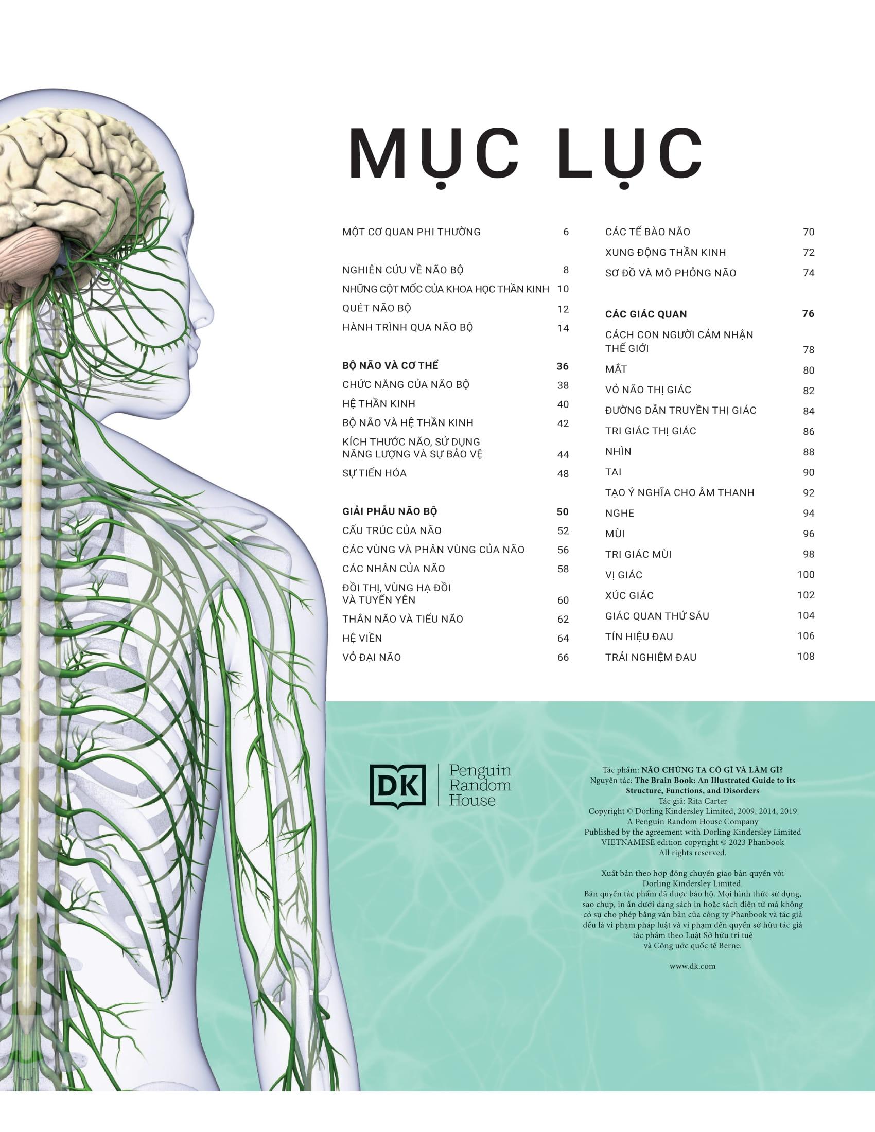 The Brain Book - Não Chúng Ta Có Gì Và Làm Gì? - Bìa Cứng