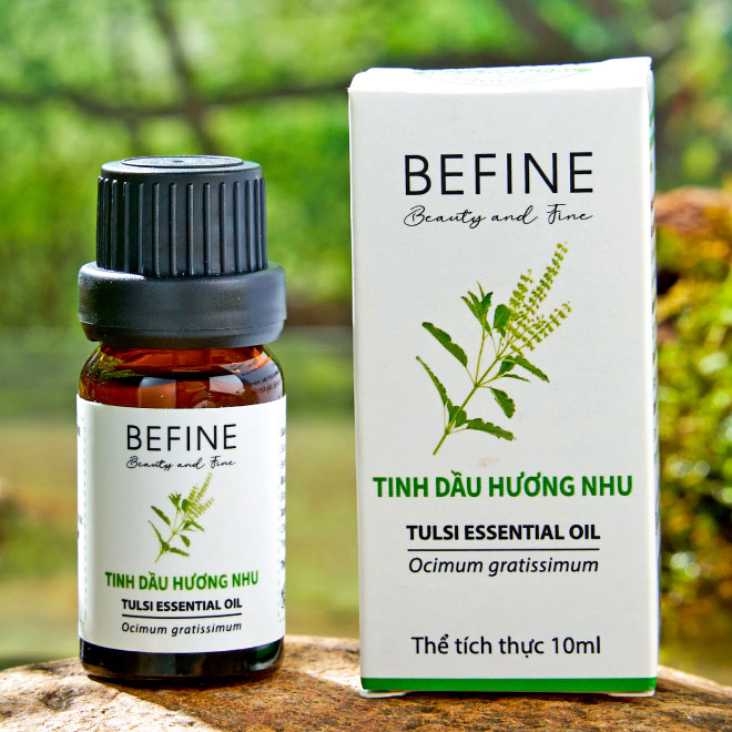 Tinh dầu hương nhu Befine nguyên chất - hàm lượng eugenol cao 