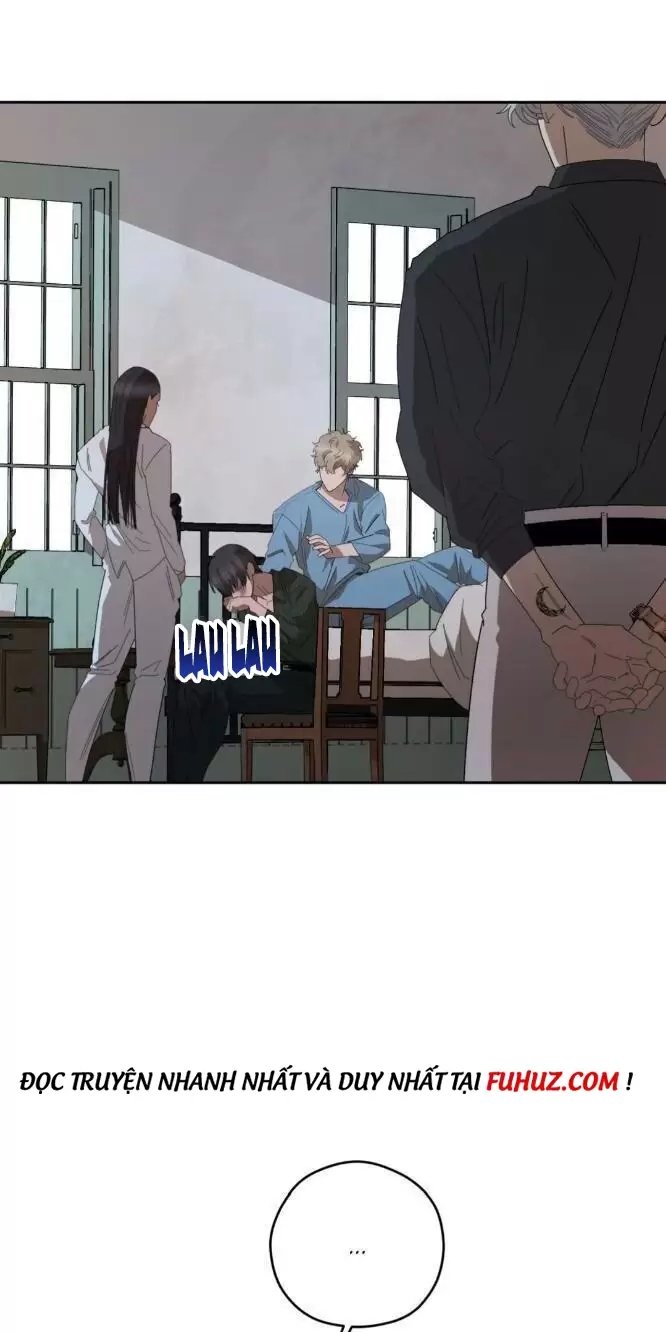 liveta chapter 31 17