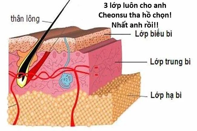 sự lụi tàn của usuzumi chapter 121 45