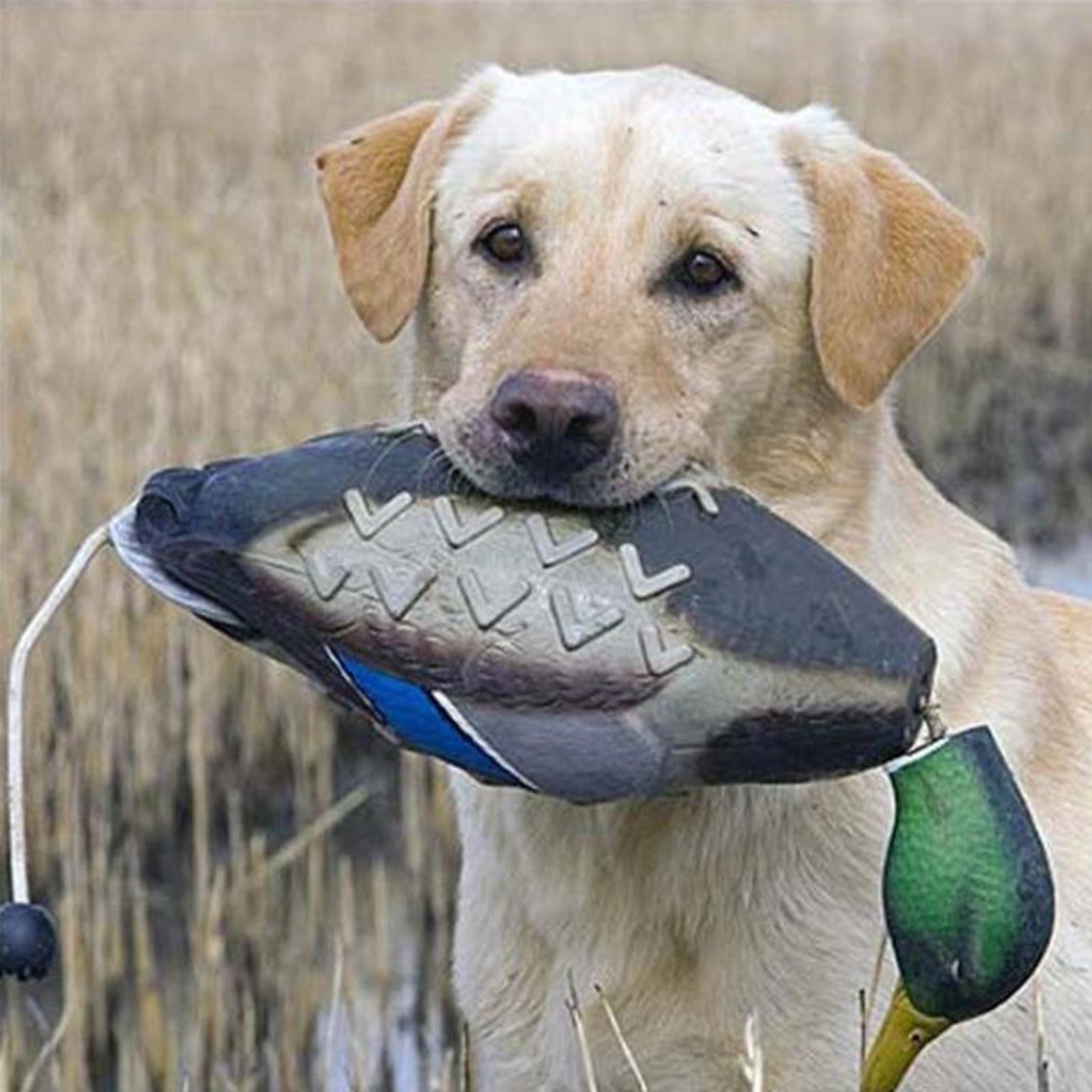 Mallard Duck Decoy Outdoor Scarecrow Hunting Decoy Hiking for Dog Chewing