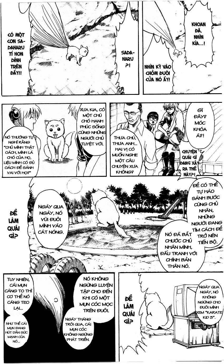 gintama - linh hồn bạc chapter 324 12