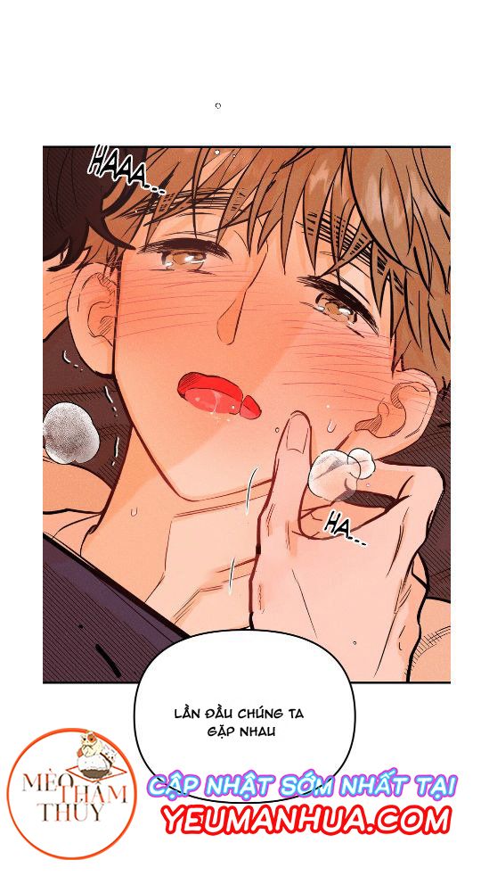 punk dunk funk chapter 10 45