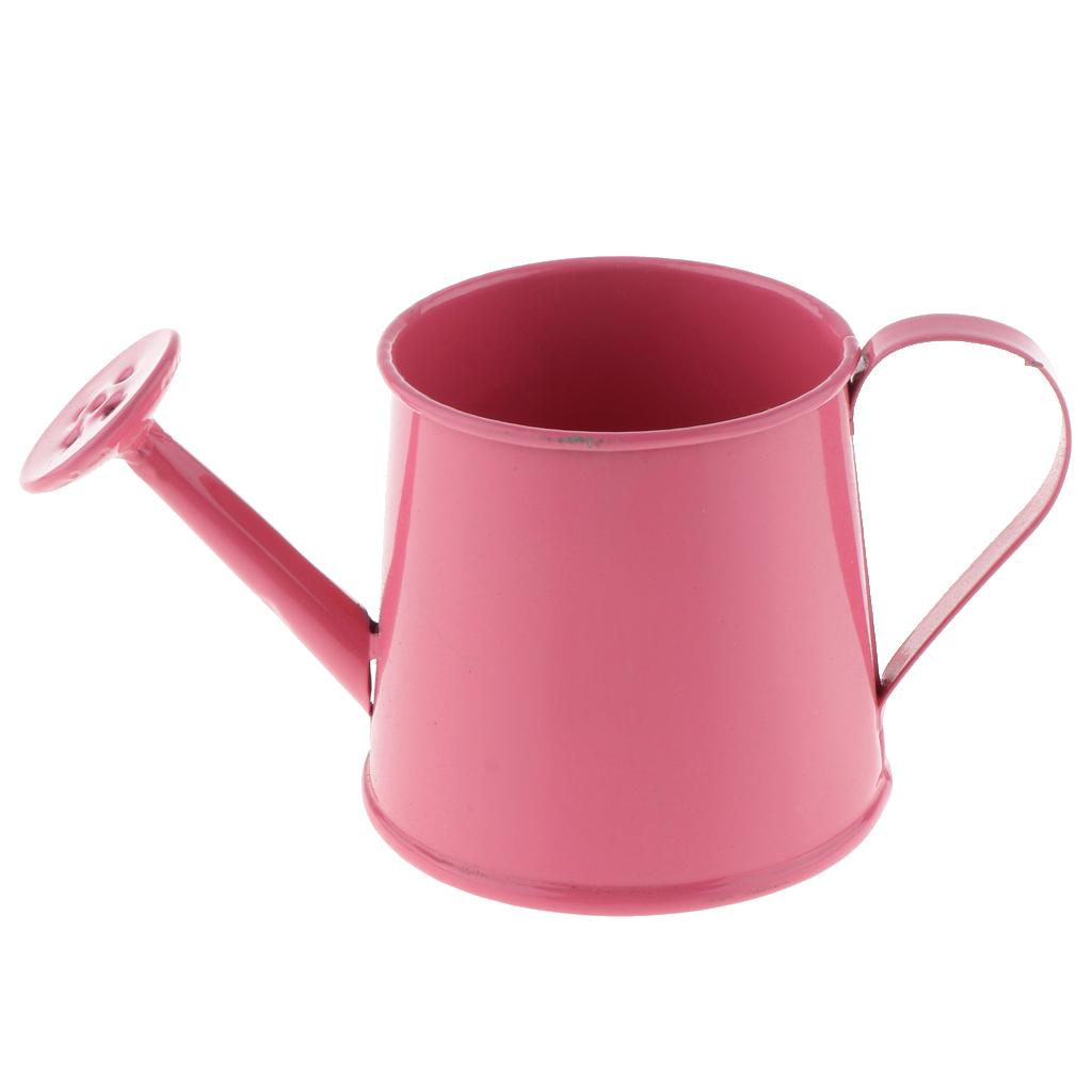 3pcs Pastoral Style Colorful Metal Tin Flower Pot Mini Bonsai Watering Can Pot