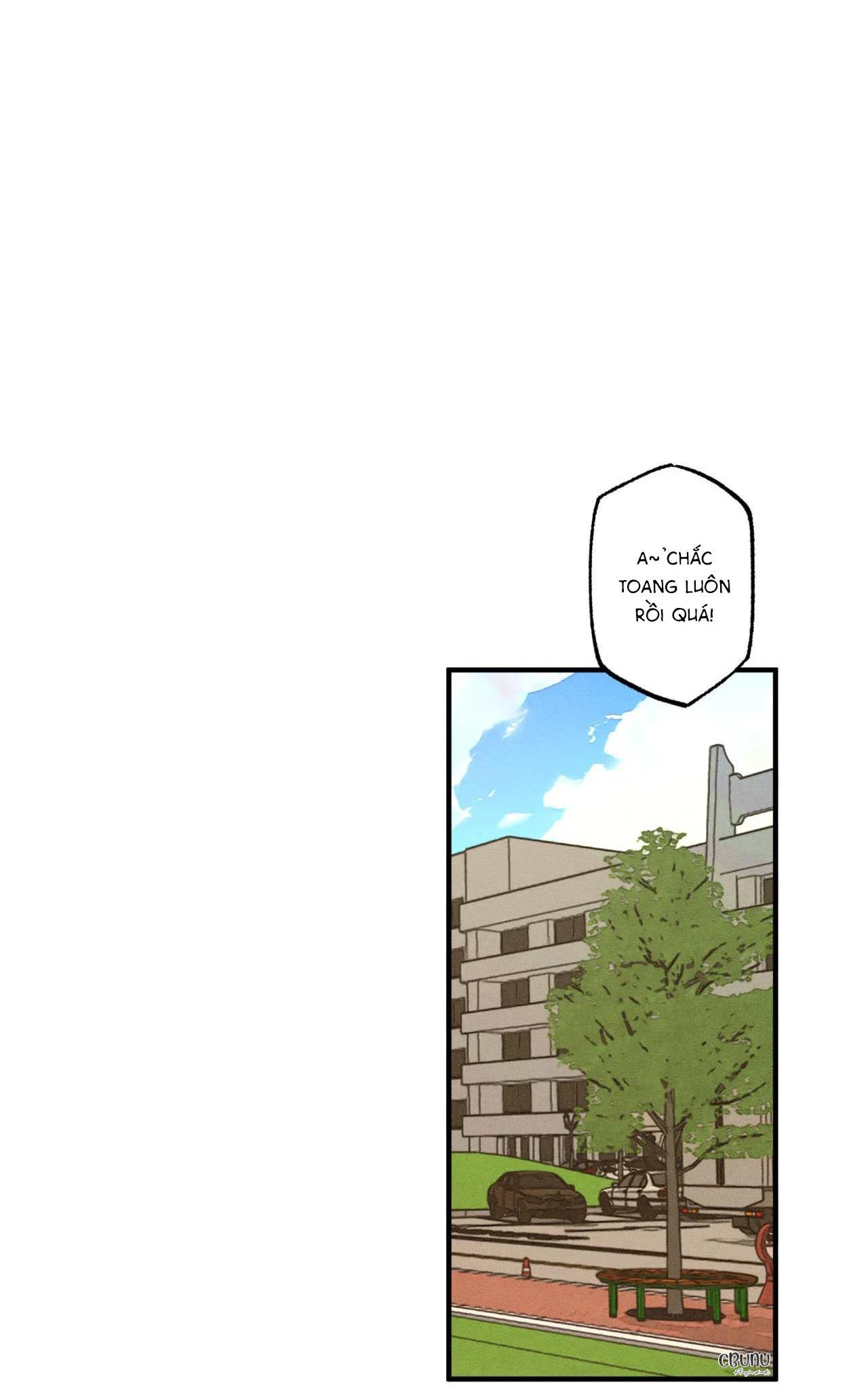 bẫy đôi ngọt ngào chapter 21 16