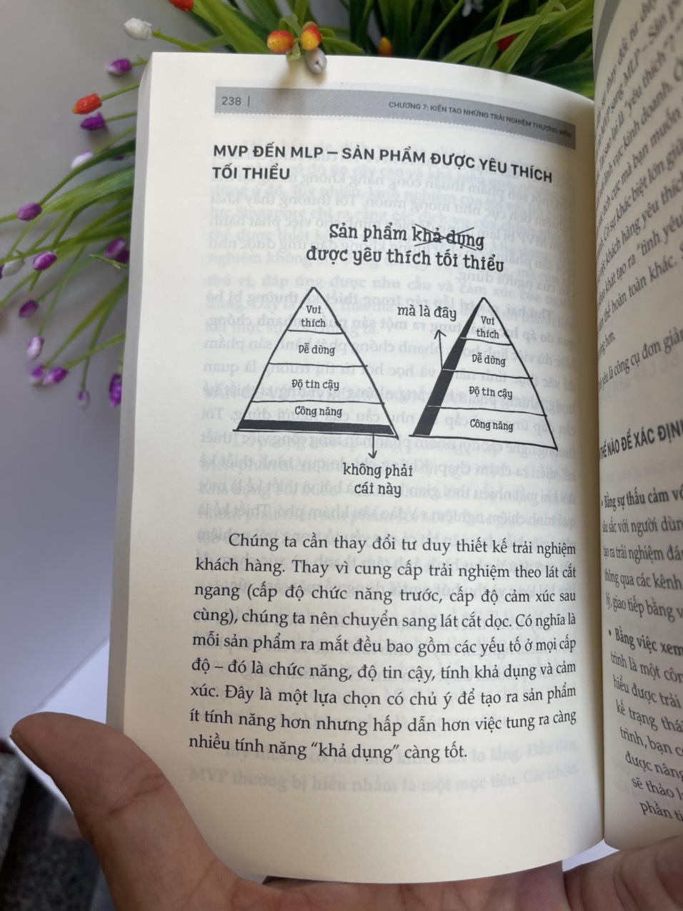 TỪ ĐƠN GIẢN ĐẾN TRƯỜNG TỒN – Jin Kang Moller – Kim Dung dịch – Bizbooks