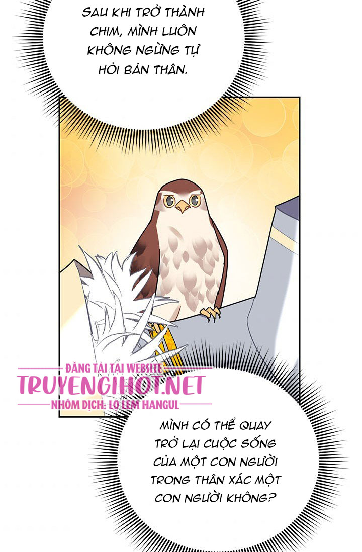 công chúa của loài chim chapter 34 73