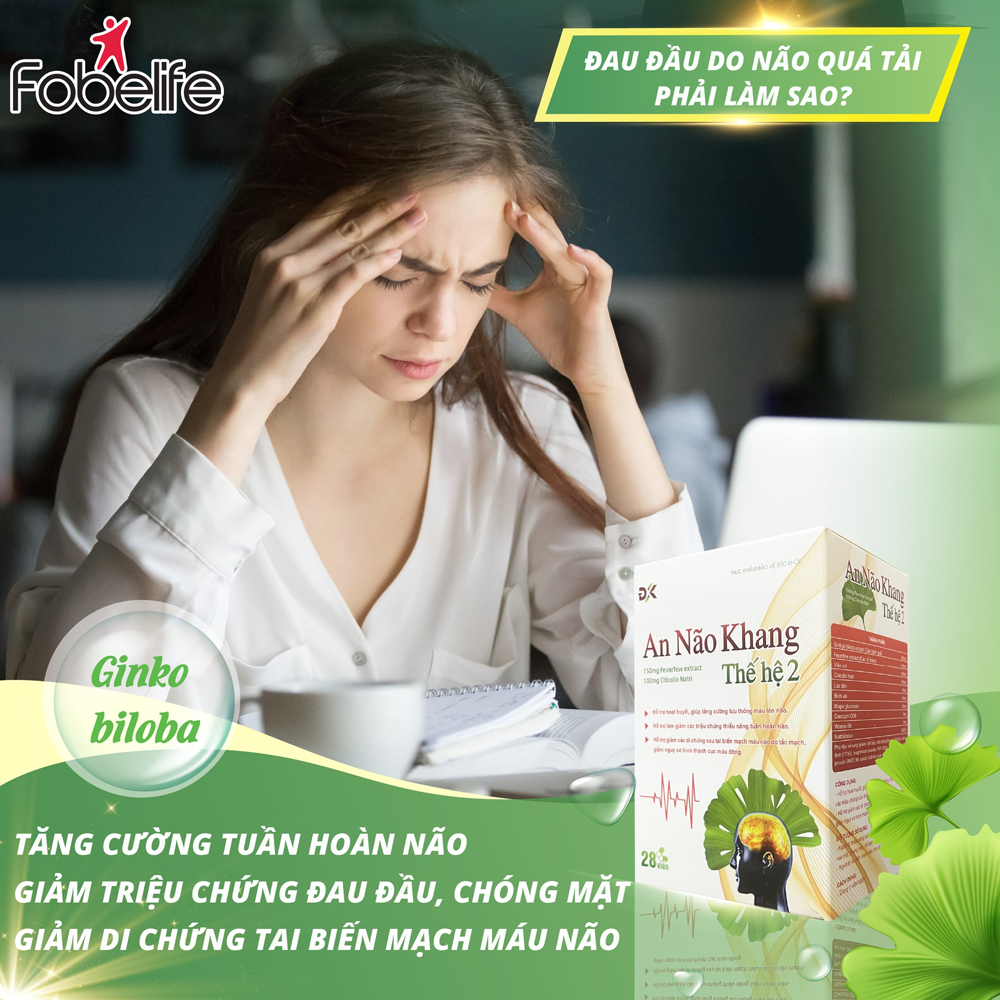 Viên Uống Hoạt Huyết Giúp Tăng Tuần Hoàn Máu Não - An Não Khang