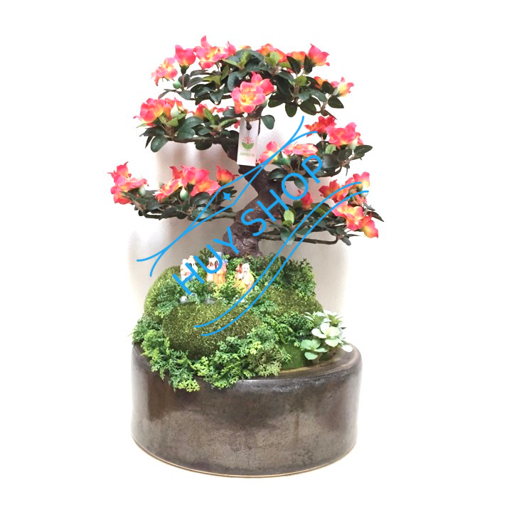 Chậu Bonsai Hoa TƯỜNG VY nhân tạo trang trí nhà cửa