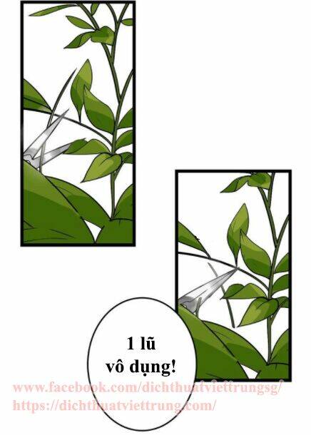 ứng dụng thẩm mỹ 2 chapter 0 3