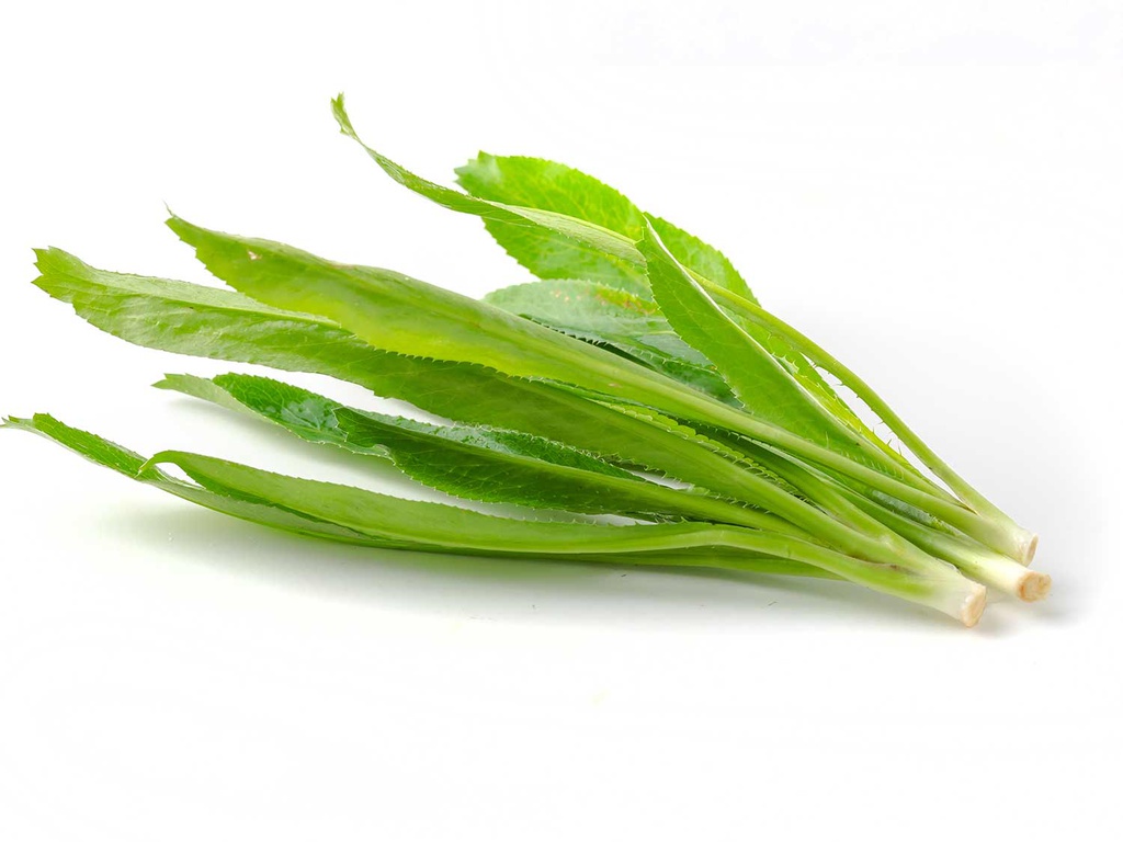 Hạt Giống Ngò Gai Gói 1gram Nguyên Bao Bì - Shop Hạt Giống Ba Miền Chịu Nhiệt