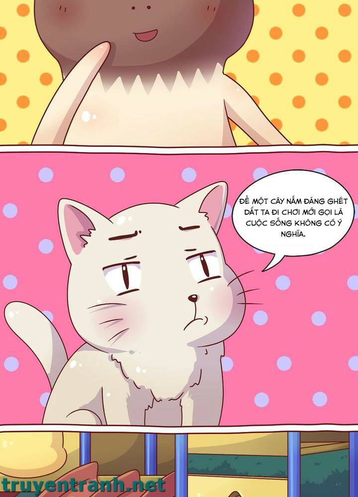 cây nấm kì khả chapter 12 11