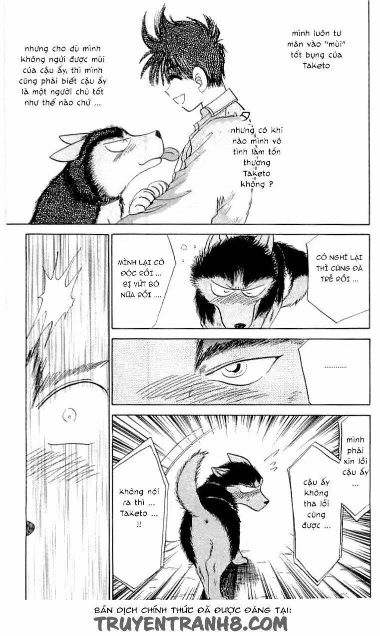 wild half chapter 14 17