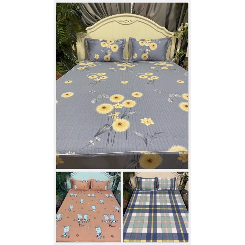 Bộ ga gối trần bông BAMBILOO cotton nhật