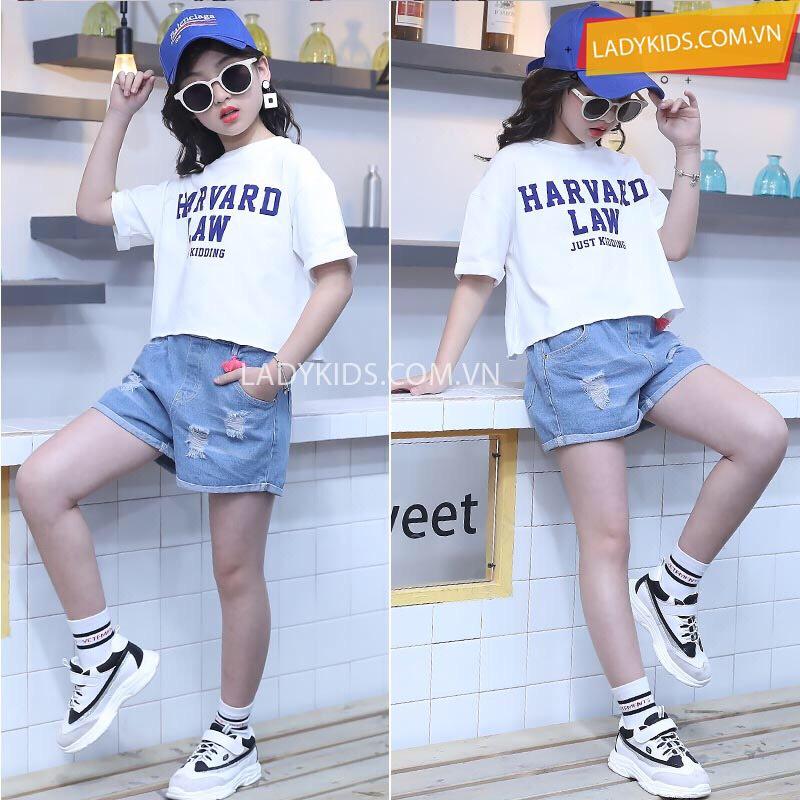 Set bộ hè bé gái, bộ quần áo bé gái đại, bộ hè cotton be gái, set trang phục sành điệu bé gái