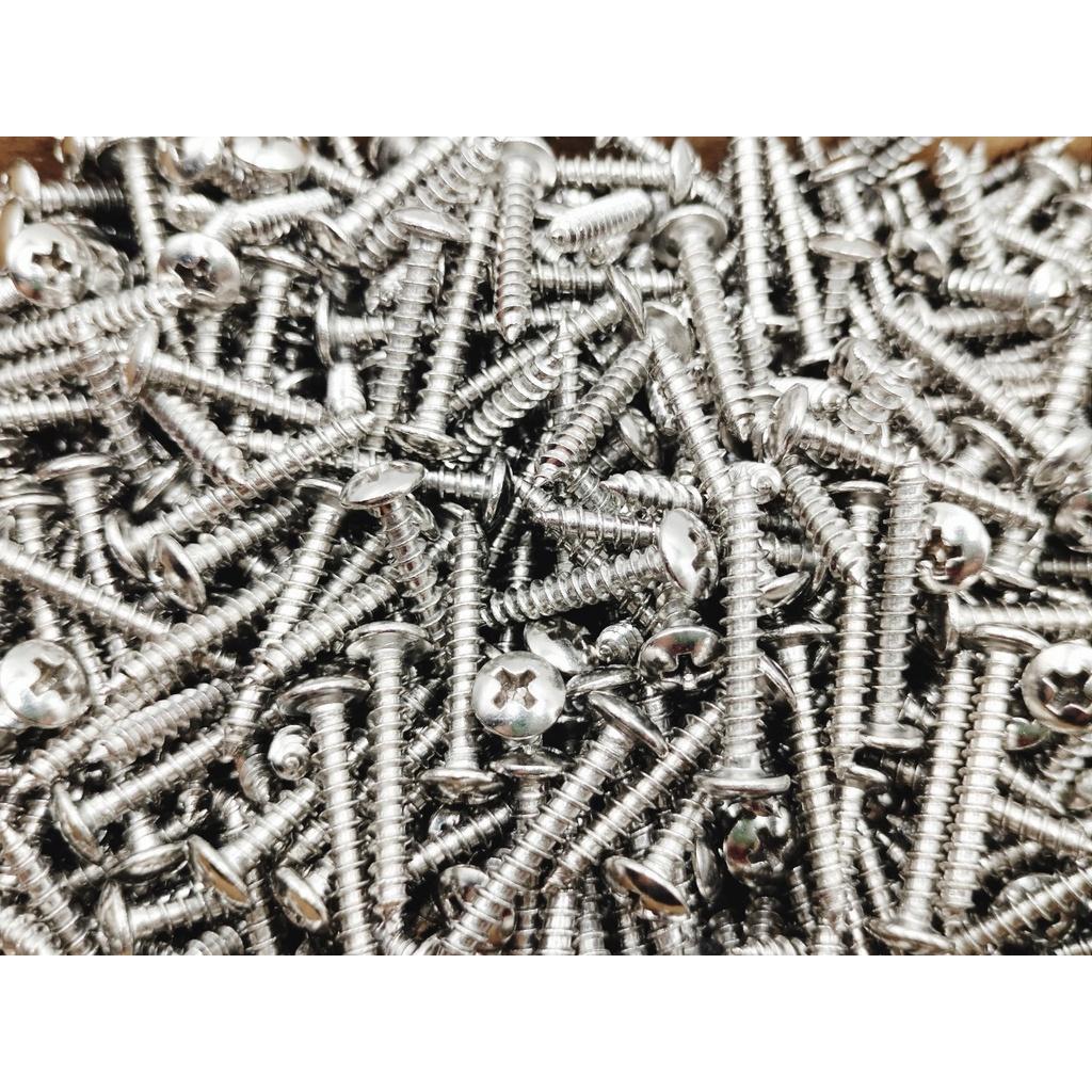 ỐC VÍT ĐẦU DÙ INOX COMBO 20 CON,BẮN TƯỜNG ,BÊ TÔNG ,GỖ, 4.0 x 25mm,CHẮC CHẮN.