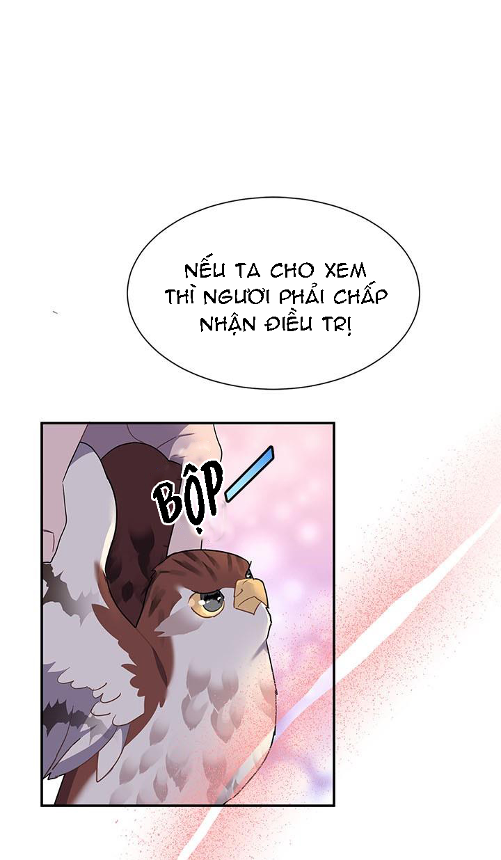 công chúa của loài chim chapter 17 2