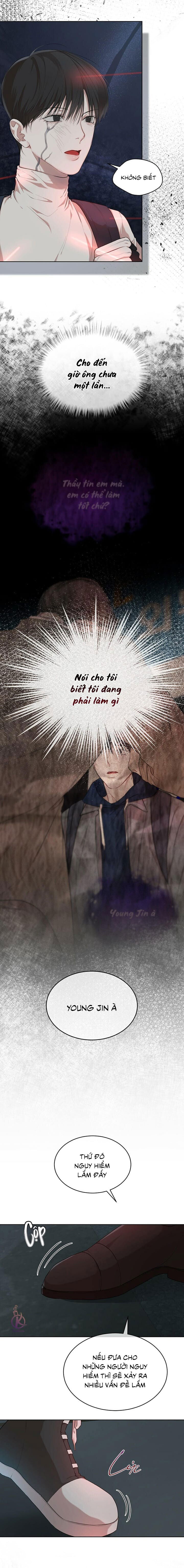 hình thái khởi sinh chapter 56 13