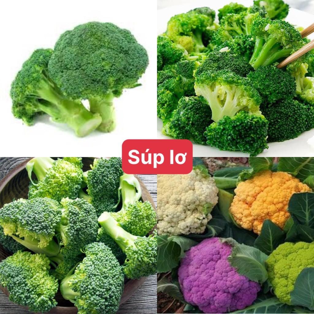 Hạt giống súp lơ nhiều màu sắc  siêu dễ trồng kháng bệnh tốt năng suất cao cửa hàng hạt giống uy tín