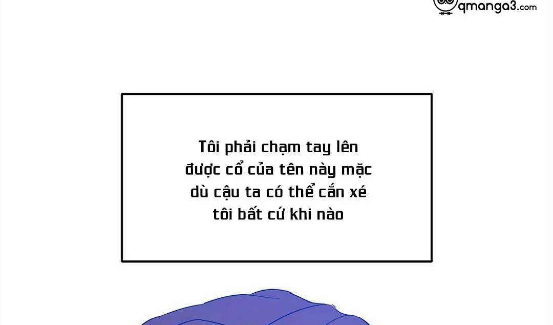 guide cấp b chapter 17 153