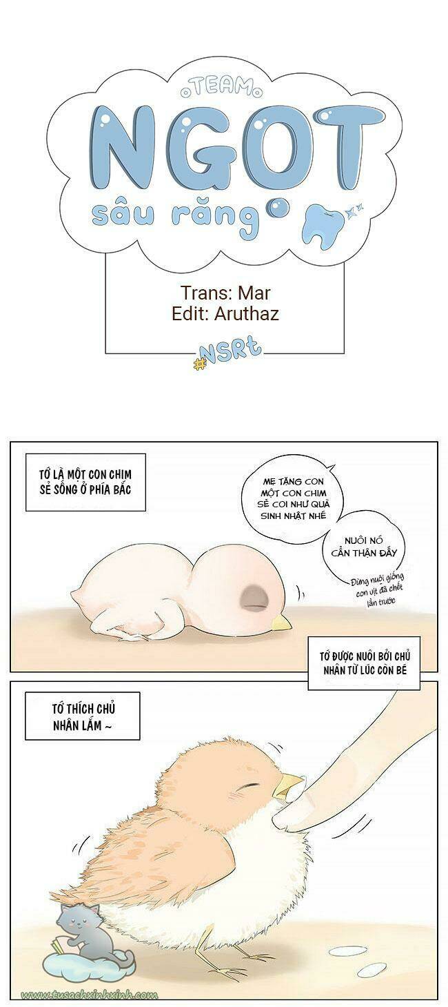 chim sẻ gọi ngỗng trời chapter 10 1