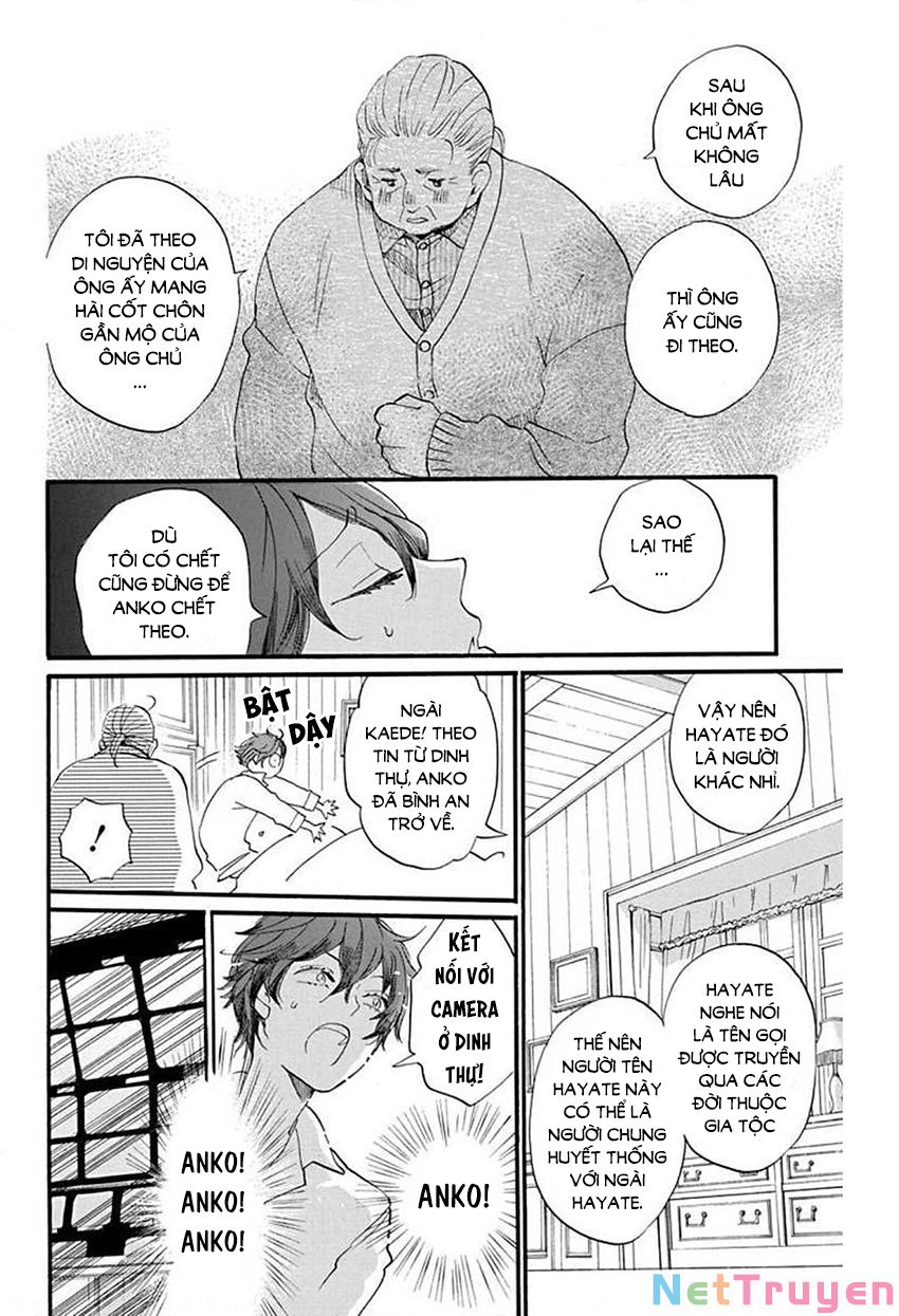 nin koi chapter 28 12