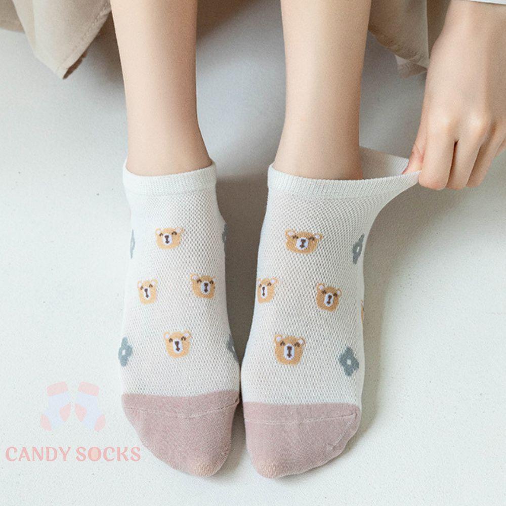Tất nữ vớ nữ cổ thấp, Set 5 đôi tất nữ phong cách Hàn Quốc, co dãn 4 chiều, chất liệu cotton Hàn cao cấp TN-217
