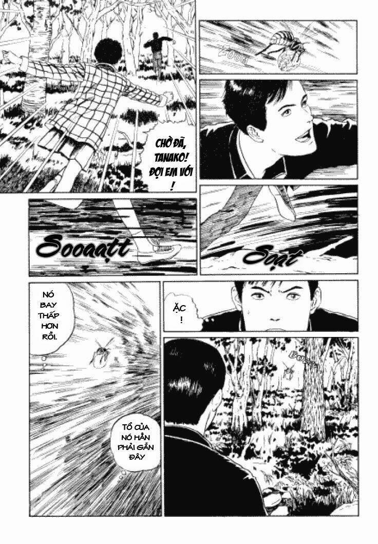 tuyển tập truyện ngắn kinh dị của ito junji chapter 3.3 6
