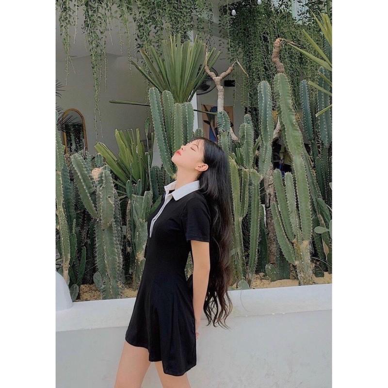 Đầm polo đen viền cổ trắng