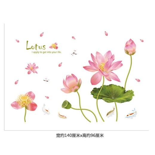 Decal Sen hồng Lotus